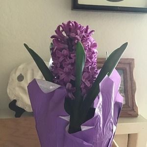 Meet your Posher, Catherine